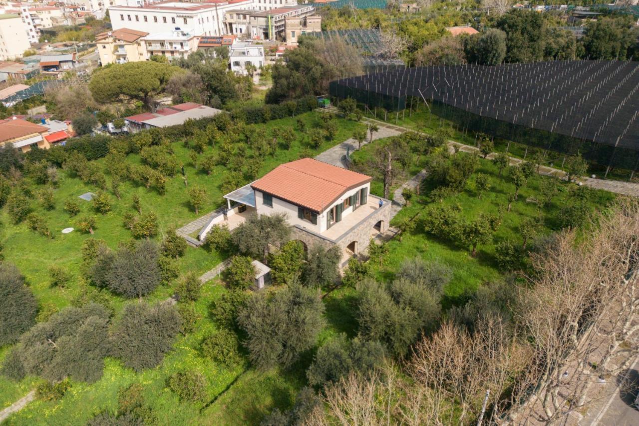 Tenuta Di Leva 皮雅诺迪索伦托 外观 照片