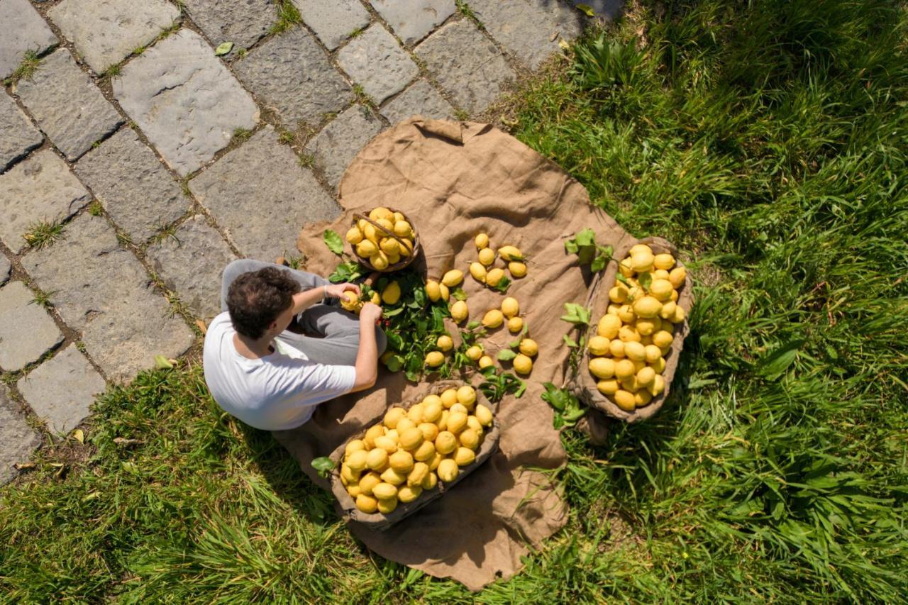 Tenuta Di Leva 皮雅诺迪索伦托 外观 照片