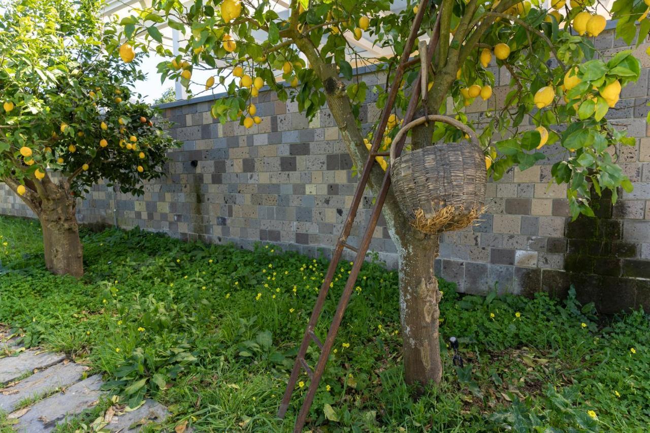 Tenuta Di Leva 皮雅诺迪索伦托 外观 照片